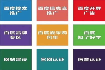 信息流广告代理成功案例分析